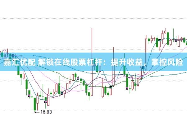 嘉汇优配 解锁在线股票杠杆：提升收益，掌控风险