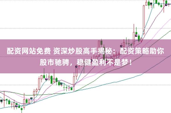 配资网站免费 资深炒股高手揭秘：配资策略助你股市驰骋，稳健盈利不是梦！