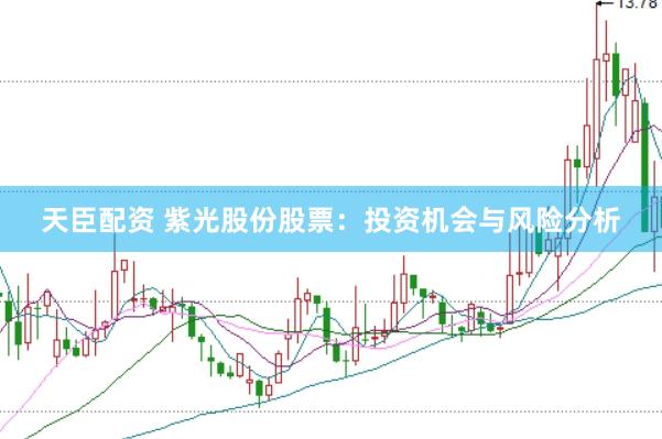 天臣配资 紫光股份股票：投资机会与风险分析