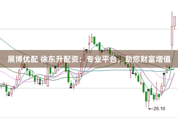 展博优配 徐东升配资：专业平台，助您财富增值