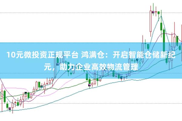 10元微投资正规平台 鸿满仓：开启智能仓储新纪元，助力企业高效物流管理