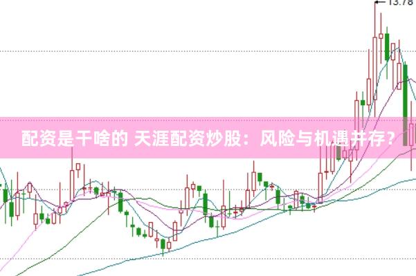配资是干啥的 天涯配资炒股：风险与机遇并存？
