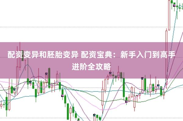 配资变异和胚胎变异 配资宝典：新手入门到高手进阶全攻略