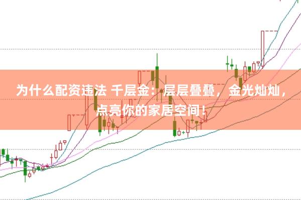 为什么配资违法 千层金：层层叠叠，金光灿灿，点亮你的家居空间！