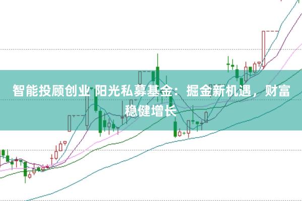 智能投顾创业 阳光私募基金:掘金新机遇,财富稳健增长