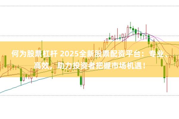 何为股票杠杆 2025全新股票配资平台：专业、高效，助力投资者把握市场机遇！