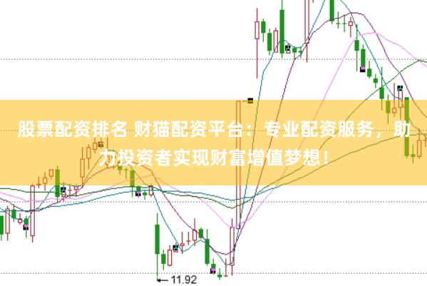 股票配资排名 财猫配资平台：专业配资服务，助力投资者实现财富增值梦想！