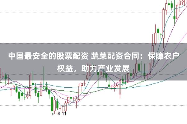 中国最安全的股票配资 蔬菜配资合同：保障农户权益，助力产业发展