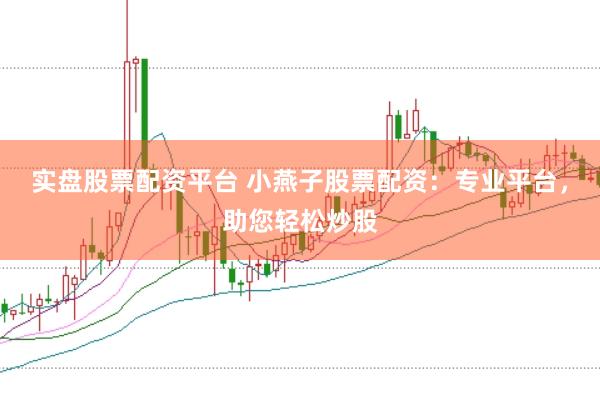 实盘股票配资平台 小燕子股票配资:专业平台,助您轻松炒股
