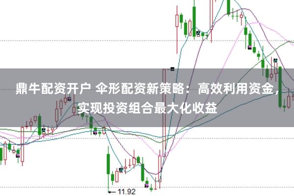 鼎牛配资开户 伞形配资新策略：高效利用资金，实现投资组合最大化收益