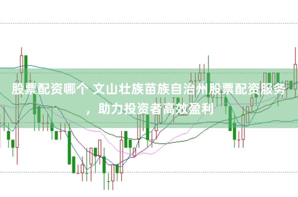 股票配资哪个 文山壮族苗族自治州股票配资服务，助力投资者高效盈利