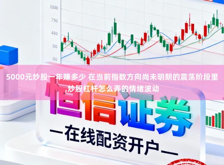 5000元炒股一年赚多少 在当前指数方向尚未明朗的震荡阶段里,炒股杠杆怎么弄的情绪波动