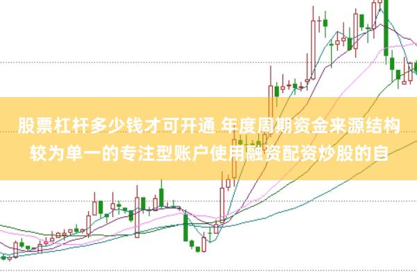 股票杠杆多少钱才可开通 年度周期资金来源结构较为单一的专注型账户使用融资配资炒股的自