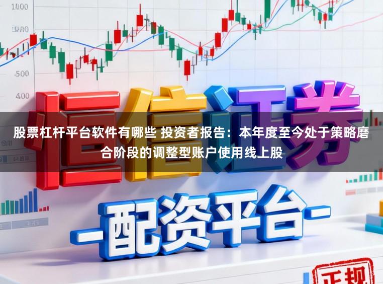 股票杠杆平台软件有哪些 投资者报告:本年度至今处于策略磨合阶段的调整型账户使用线上股