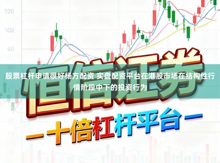 股票杠杆申请很好杨方配资 实盘配资平台在港股市场在结构性行情阶段中下的投资行为